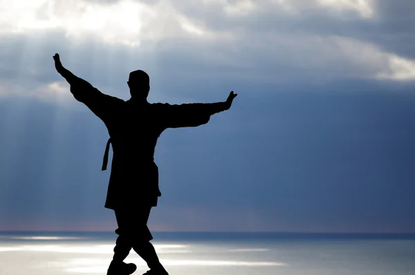 stock image Image Wizard Wushu on the background of sea surface.