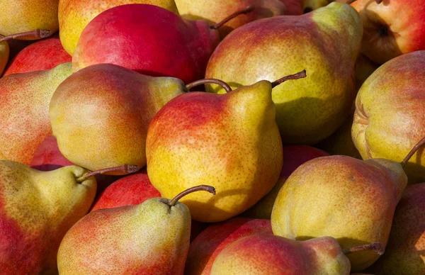 梨の木の販売の果物. — ストック写真