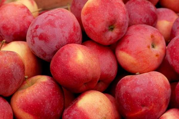 Czerwone jabłka na ladzie na sprzedaż. — Zdjęcie stockowe