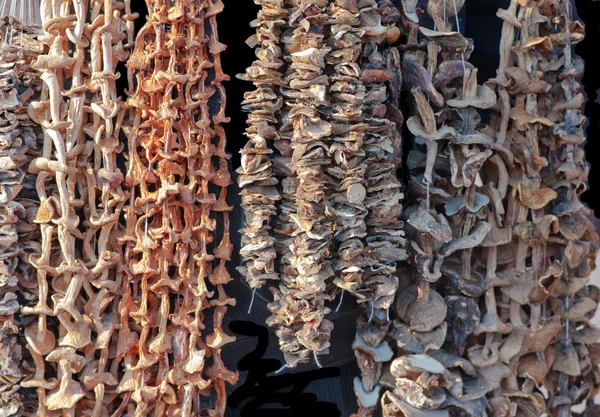 Сушеные натуральные грибы — стоковое фото