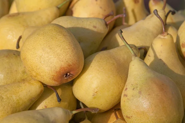 stock image Yellow pears lined up on the counter for sale