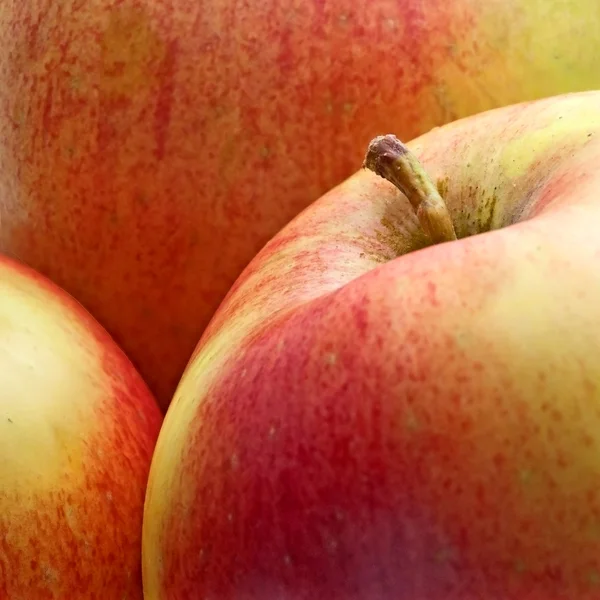 Amarelo-vermelho maçã no fundo de outras maçãs . — Fotografia de Stock