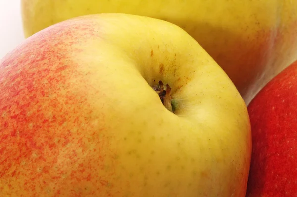 Măr galben-roșu pe fundalul altor mere . — Fotografie, imagine de stoc