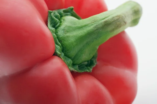 Rode paprika met groene staart — Stockfoto
