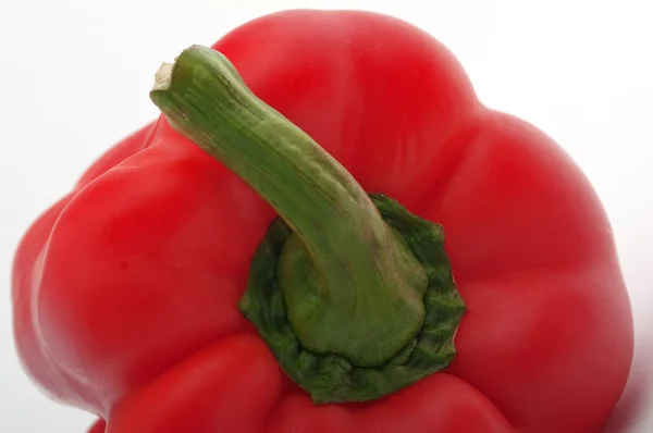 Červená paprika s zeleným ocasem — Stock fotografie
