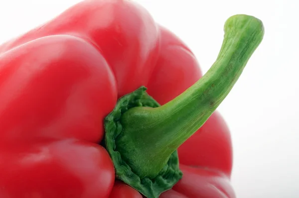 Rode paprika met groene staart — Stockfoto
