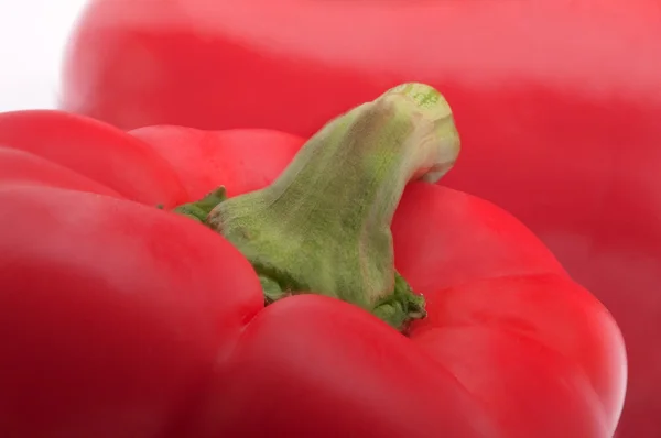 Красный перец с зеленым хвостом — стоковое фото