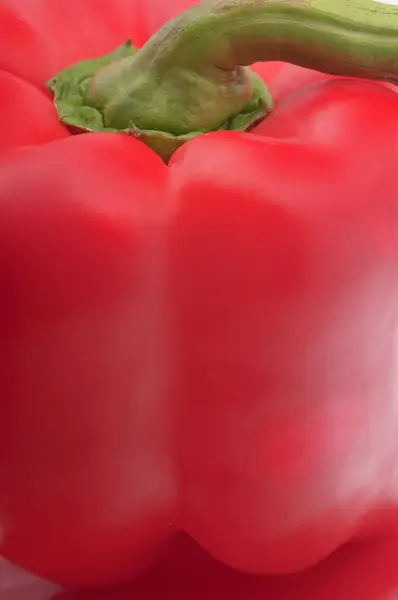 녹색 꼬리와 붉은 피망 — 스톡 사진