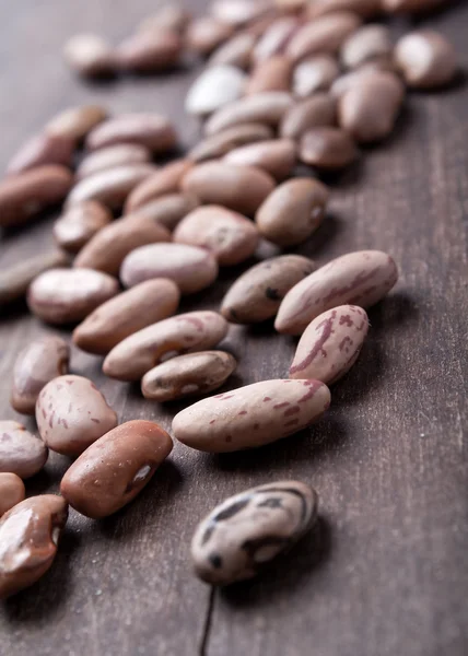 stock image Different kinds of beans