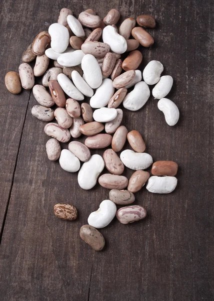 Different kinds of beans Stock Picture