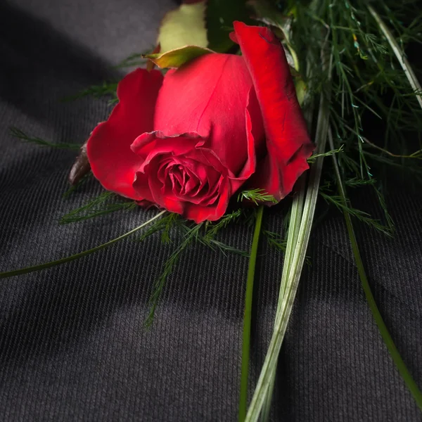 ファブリック上の赤いバラ — ストック写真