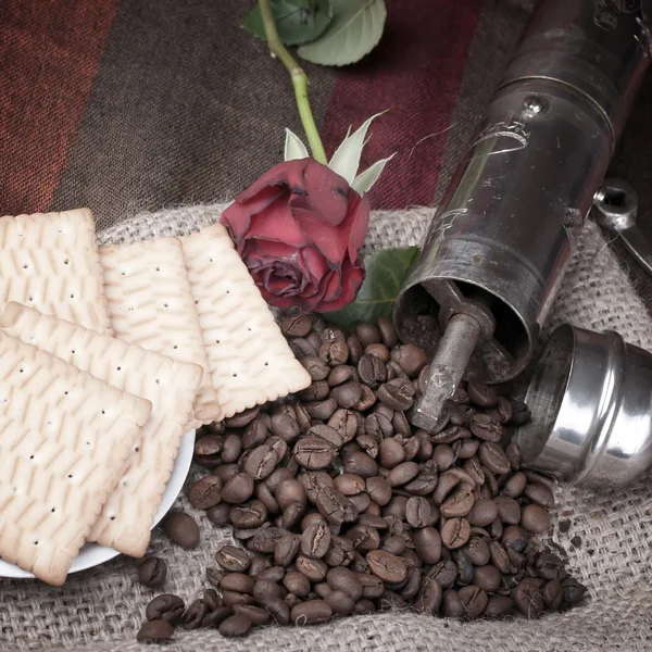 Coffee beans and roses — Stock Photo, Image