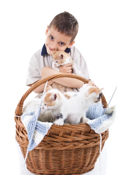 Niño con gatos —  Fotos de Stock