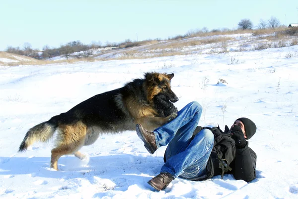 개와 사람 — 스톡 사진