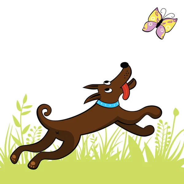 Hund fängt einen Schmetterling — Stockvektor