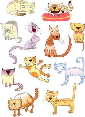Set of eleven different cats clipart