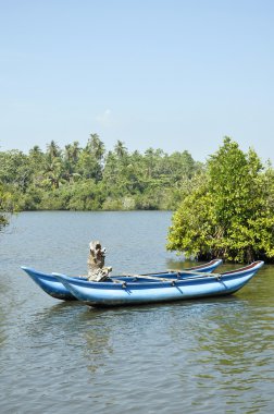 güzel sri Lanka gölde mahsur kalan parlak mavi bir tekne