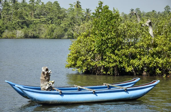 stock image A bright blue boat beautifully stranded on a lake in Sri Lanka