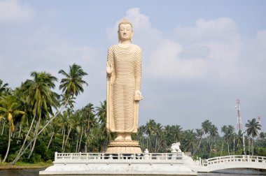 Bamiyan Buddha Replica at Tsunami Honganji Viharaya, Pareliya clipart