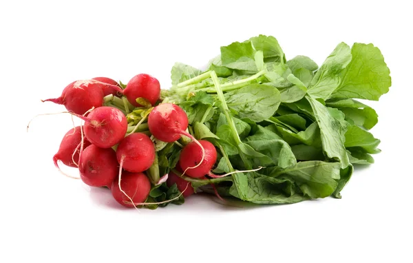 Bunch of fresh radishes — Stock Photo, Image