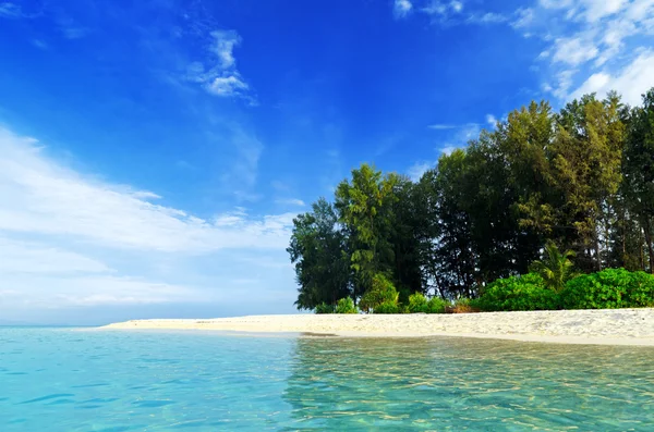 stock image Beach