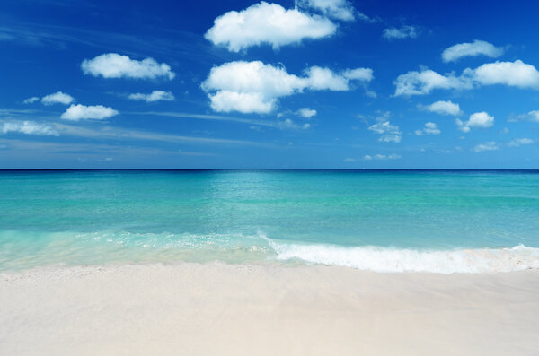 Tropical beach. Blue sky and clear water.
