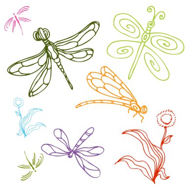 Dragonfly Drawing Set