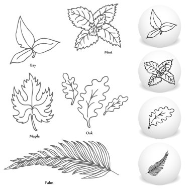 Leaf Drawing Set clipart