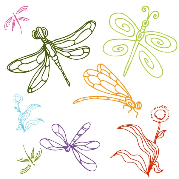Dragonfly Drawing Set — Stok Vektör