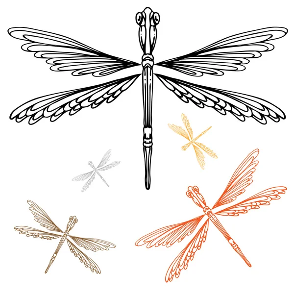 Gedetailleerde dragonfly — Stockvector