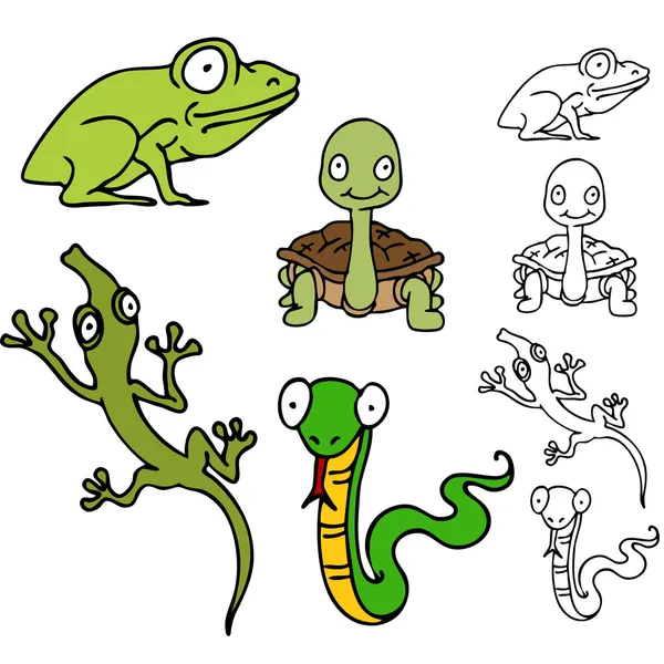 Set de reptiles y ranas — Vector de stock