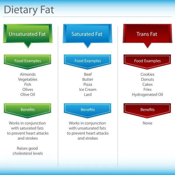 Gráfico de gordura dietética — Vetor de Stock