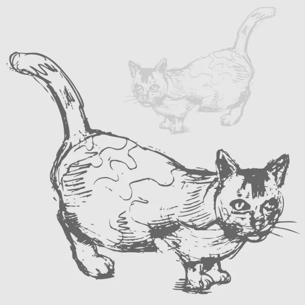 Dibujo de gato gordo — Vector de stock