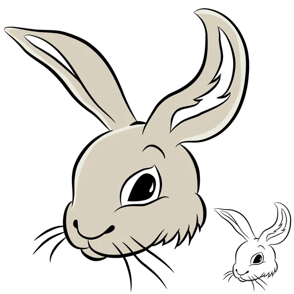 Tavşan kafası — Stok Vektör