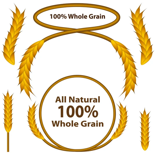 Ensemble de blé à grains entiers — Image vectorielle