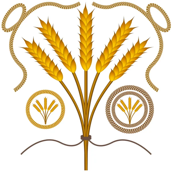 Conjunto de trigo enrolado — Vetor de Stock