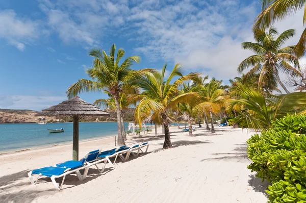 Uma praia ensolarada do Caribe com espreguiçadeiras e guarda-sóis — Fotografia de Stock