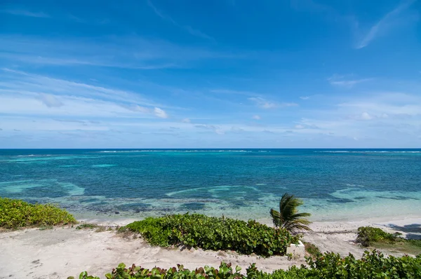 Playa del Caribe con cielo azul — Foto de Stock