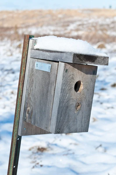 Nid box en hiver — Photo