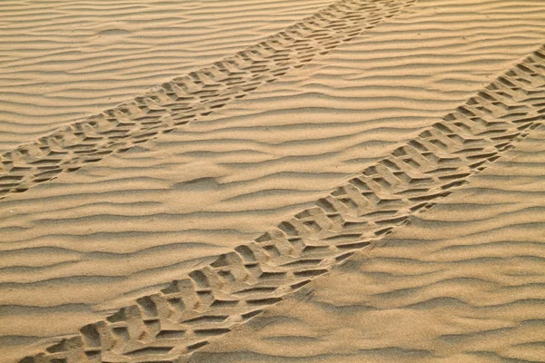 stock image ATV Tracks On Sand