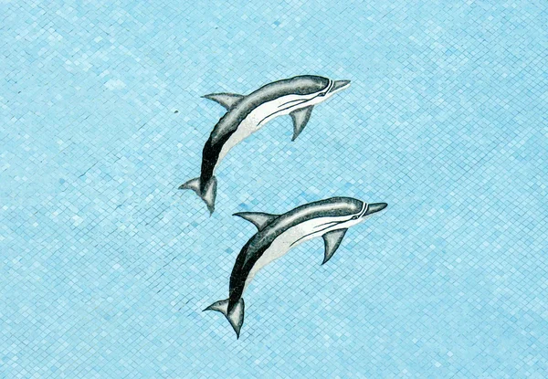 Бассейн для дельфинов — стоковое фото