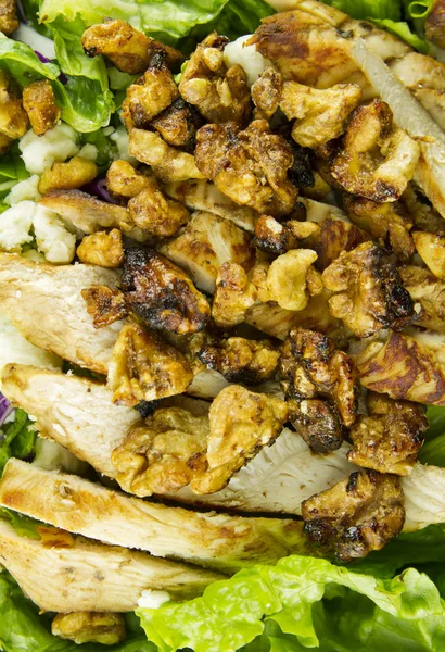 Gegrilltes Huhn mit weißem und dunklem Fleisch Salat — Stockfoto