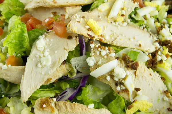 stock image Chicken Breast Salad With Egg