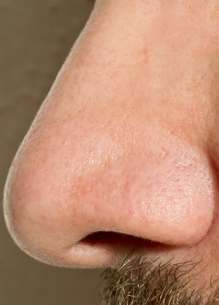 Macro naso maschile — Foto Stock
