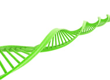 DNA isolated on white clipart