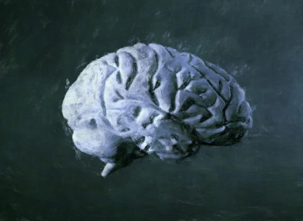 Цифровий живопис людського мозку — стокове фото