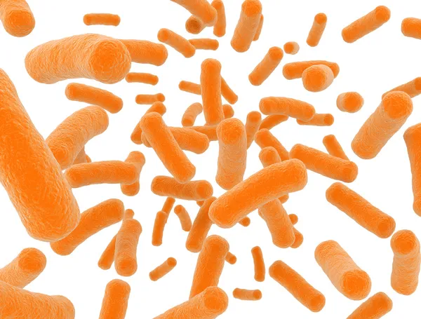Sel bakteri terisolasi — Stok Foto