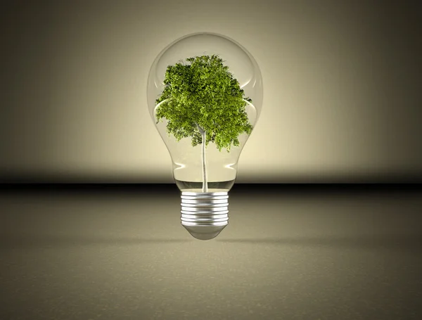 Tree in a lightbulb — Stock Photo, Image