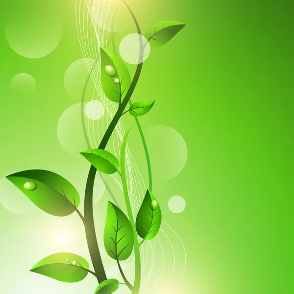 Πράσινο βλαστάρι με σταγόνες σε φύλλα — Διανυσματικό Αρχείο
