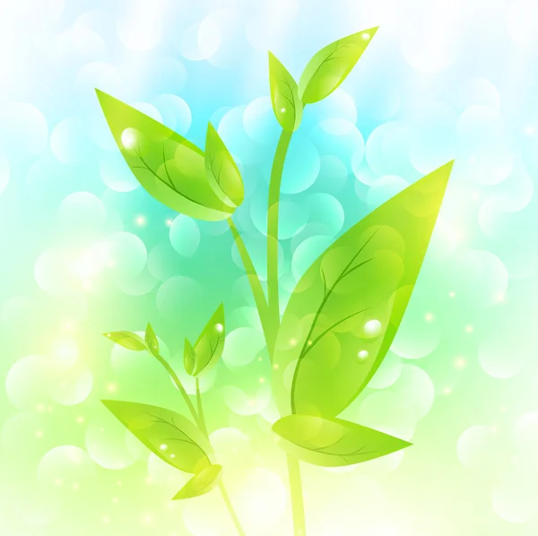 Groene spruit — Stockvector